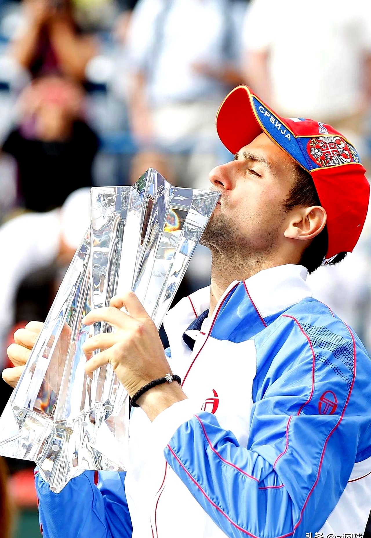 温网力克戴维斯杯，德约科维奇扛起全队的简单介绍